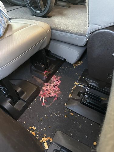 Standard Detail for Apex Mobile Detail LLC in Linda, CA