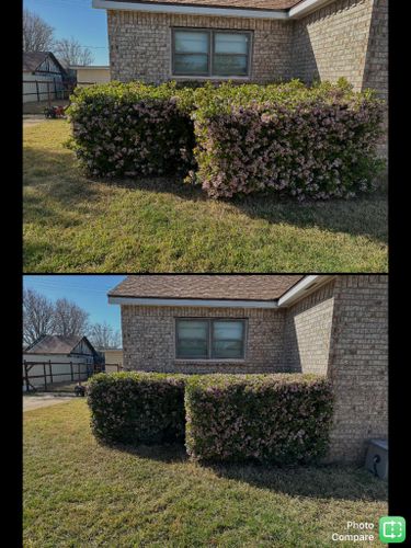 Shrub Trimming for Compas Cleanup in McCamey, TX