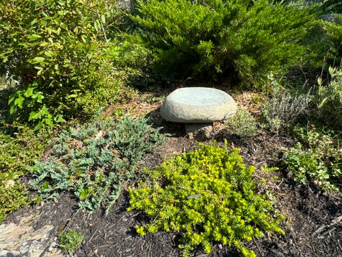 Landscape Design & Installation for Natural Roots in Georgetown, ME
