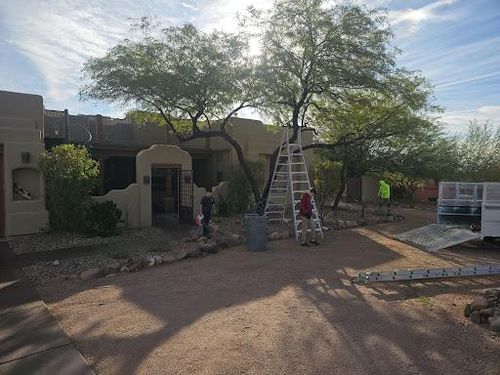 Tree Removal for T's Tree Service and Firewood in Apache Junction, AZ