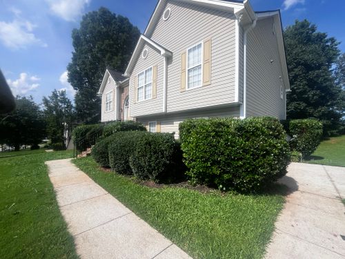 Tree & Shrub Care for Southern Outdoors Landscaping in Covington, GA