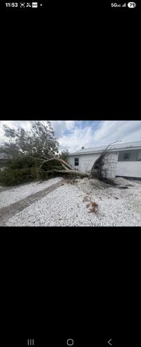 Immediate Response Tree work for storm damage for TREE BOYS in Ruskin, FL