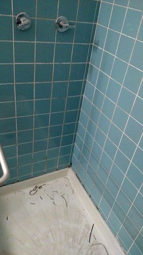 Grout Cleaning for Taylor Grout and Tile Restoration in Columbus, OH
