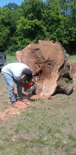  for Lawn Ranger Yard And Tree Service LLC in Ottumwa, IA