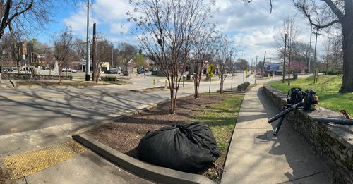 Shrub Trimming for Russell's Lawn Care Plus in Nashville, TN