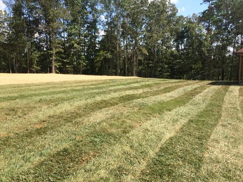 Residential Mowing for Great Honest Loyal LLC in Chattanooga, TN