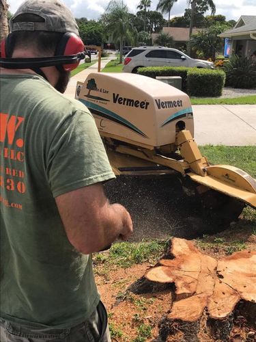 Stump Removal for Adam's Tree and Stump Care in Bradenton, Florida