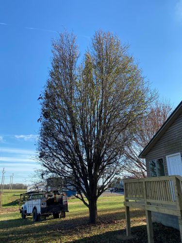 Fall and Spring Clean Up for Atwood’s Tree Care in Liberty,  KY