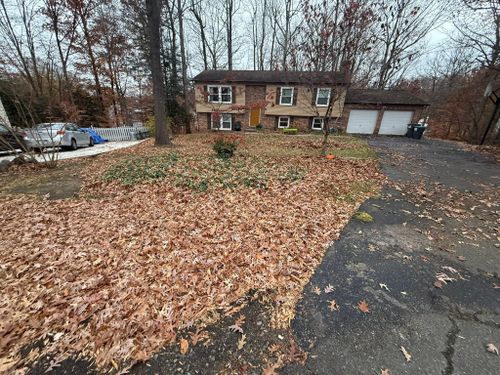  for Ridgewood Lawn Care LLC in Fredericksburg, VA