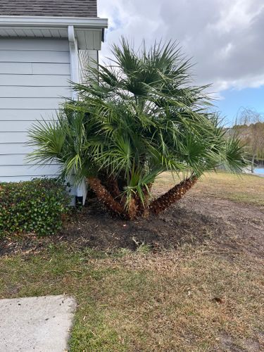 All Photos for New Creation Landscaping in Myrtle Beach, SC