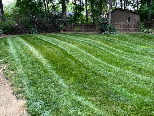 Mowing for Sage Green Lawn Care in Greensboro,  NC