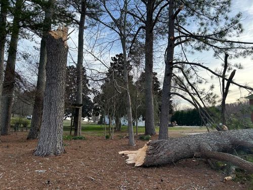  for Chipper's Tree Service  in Fort Payne, AL