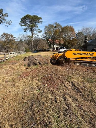 Stump Excavation for Dozier Stump Grinding in Augusta, GA