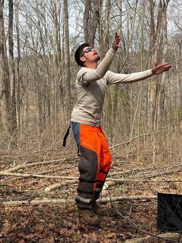 All Photos for Ramirez Tree Care in Elkin, NC