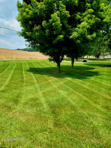  for A&A Lawnworks in Maximo, OH
