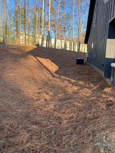 Land Clearing for Gibson Grade Works in Towns County, GA