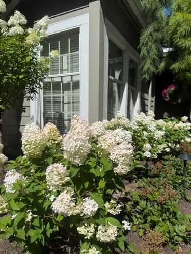 Softscaping for Hillside Landscape & Design in Chesterland, OH