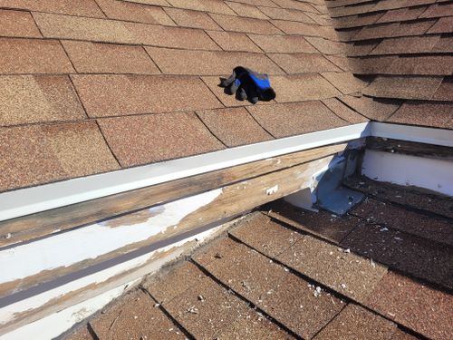 Other Handyman Services for Silver Service Pros in Riverton, UT