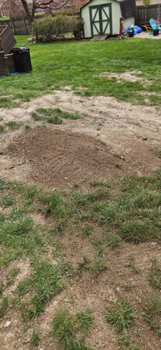Stump Removal for Highborn Tree Service in Wheatfield, IN