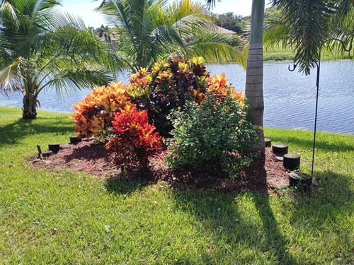 Shrub Trimming for Unity Maintenance & More LLC in Englewood, FL