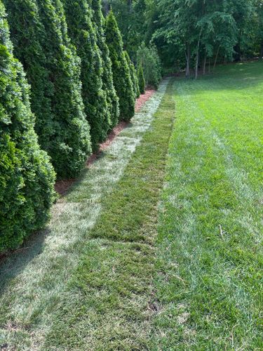 Mulch Installation for Optimum Tree Service And Landscaping in Bowling Green, KY