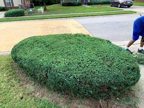 All Photos for Reg's Lawn Care Services in LaGrange, GA