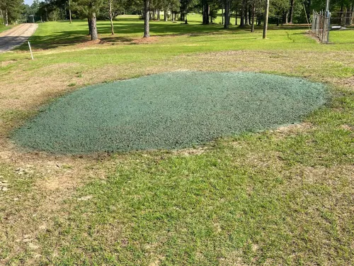 Hydroseeding for South Mississippi Land Management LLC in Columbia, Mississippi