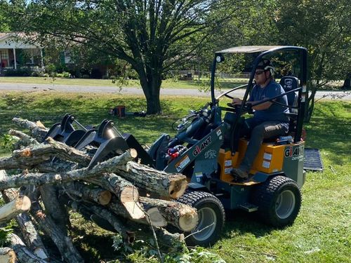 Tree Removal for JayBird Tree Service  in Goodlettsville, TN