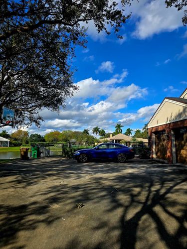 All Photos for Bridgewater Arbor Care LLC in Jupiter, FL