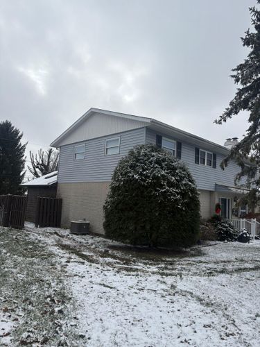  for Dig-It Tree Company in Mason, OH