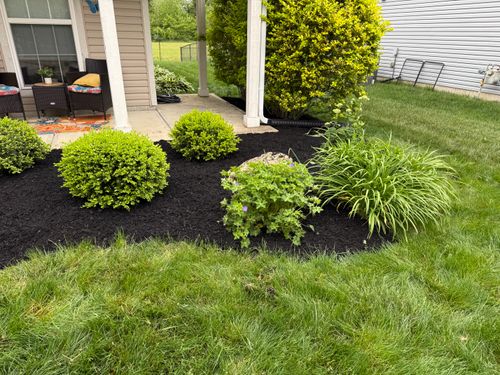  for Bearforce Lawn Care LLC in Greenfield, IN