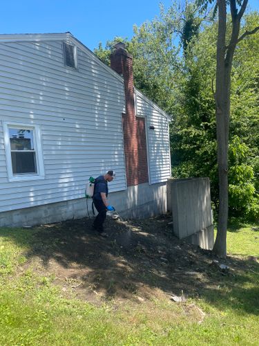 Weed Control for Perillo Property maintenance in Hopewell Junction, NY