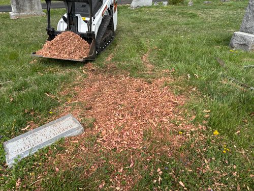 Stump Removal for Conrad's Stump Removal in Columbus, IN