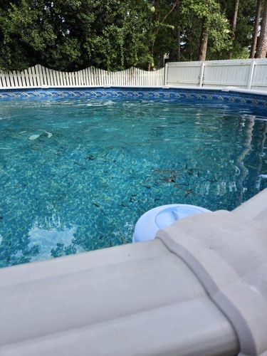 Pool Cleaning for Down & Dirty Pool Service in Crawfordville, FL
