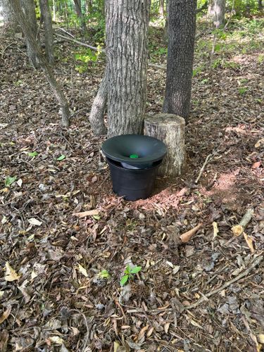 Termite Inspection & Treatment for Winecoff Pest Control in Salisbury, NC
