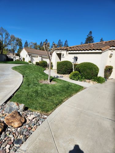  for Vargas LANSCAPE LLC in Stockton, CA