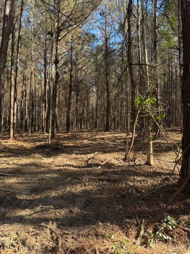 Excavation for Big Munchie Landworx in Jackson, MS