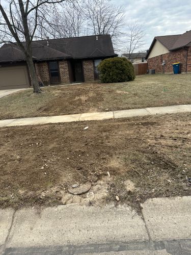 All Photos for Pro Tree Trim & Removal, Llc in Dayton, OH