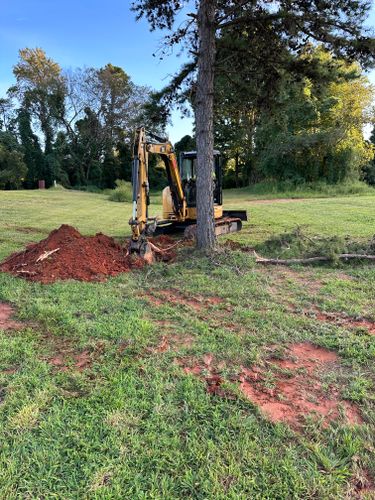 Lot Clearing for Southern Land Solutions Forestry Mulching, LLC in Cleveland, NC