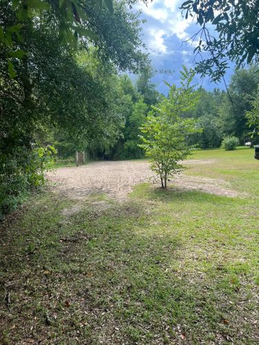 All Photos for Warners Tree Solutions in Live Oak, FL