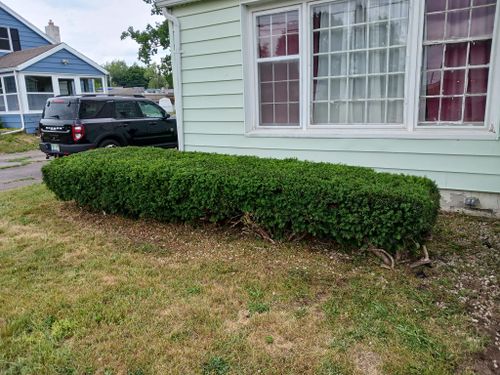 Shrub Trimming for On The Spot Lawn Maintenance & Pressure Washing in Jackson, MI