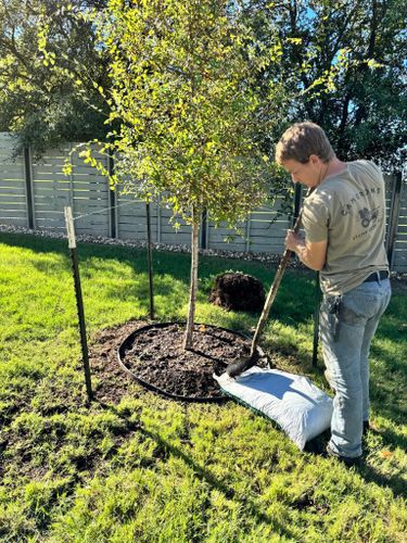  for Camerons Stump Grinding & Tree Services in Austin, TX