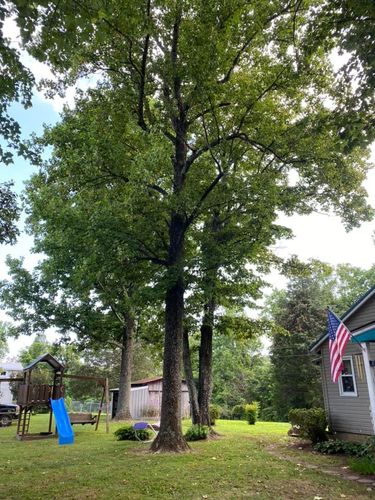 Fall and Spring Clean Up for Atwood’s Tree Care in Liberty,  KY