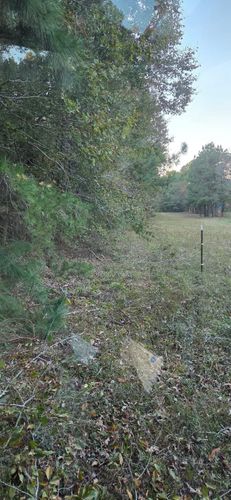  for Southern Stronghold Earthworks in Benson, NC