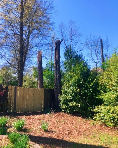  for Kingdom Tree Cuts in Birmingham, AL
