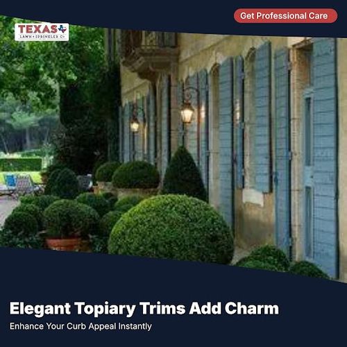 Landscaping for Texas Lawn & Sprinkler Co. in Houston, TX
