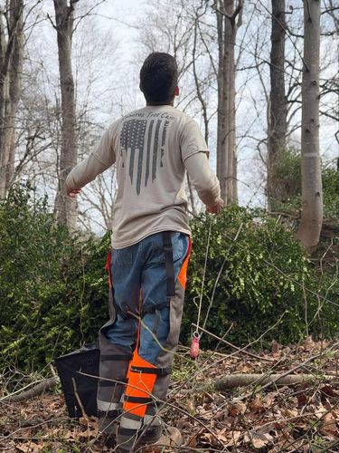 All Photos for Ramirez Tree Care in Elkin, NC