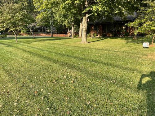 Mowing for Bailey’s Lawn Care & Dirt Service in Murray, KY