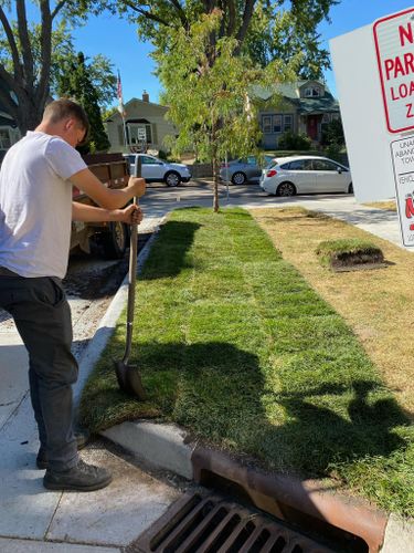 Mulch & Sod Repair for K and Z Lawn Care in Andover, MN