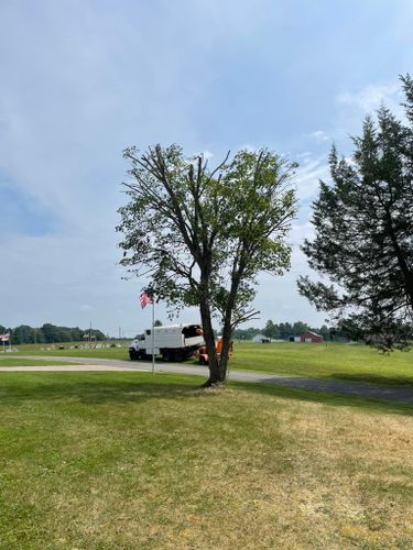 Tree Removal for Atwood’s Tree Care in Liberty,  KY